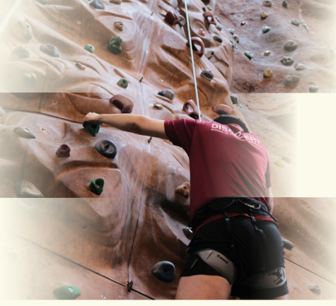 Rock Climbing Wall