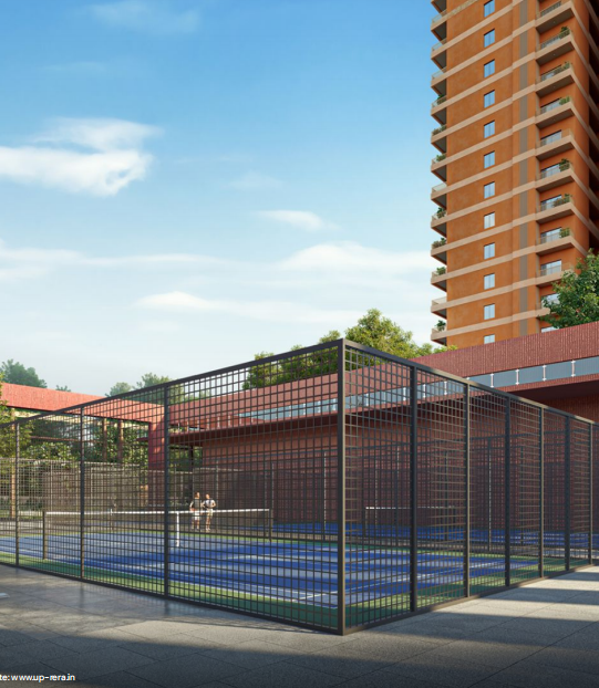 Pickleball Court